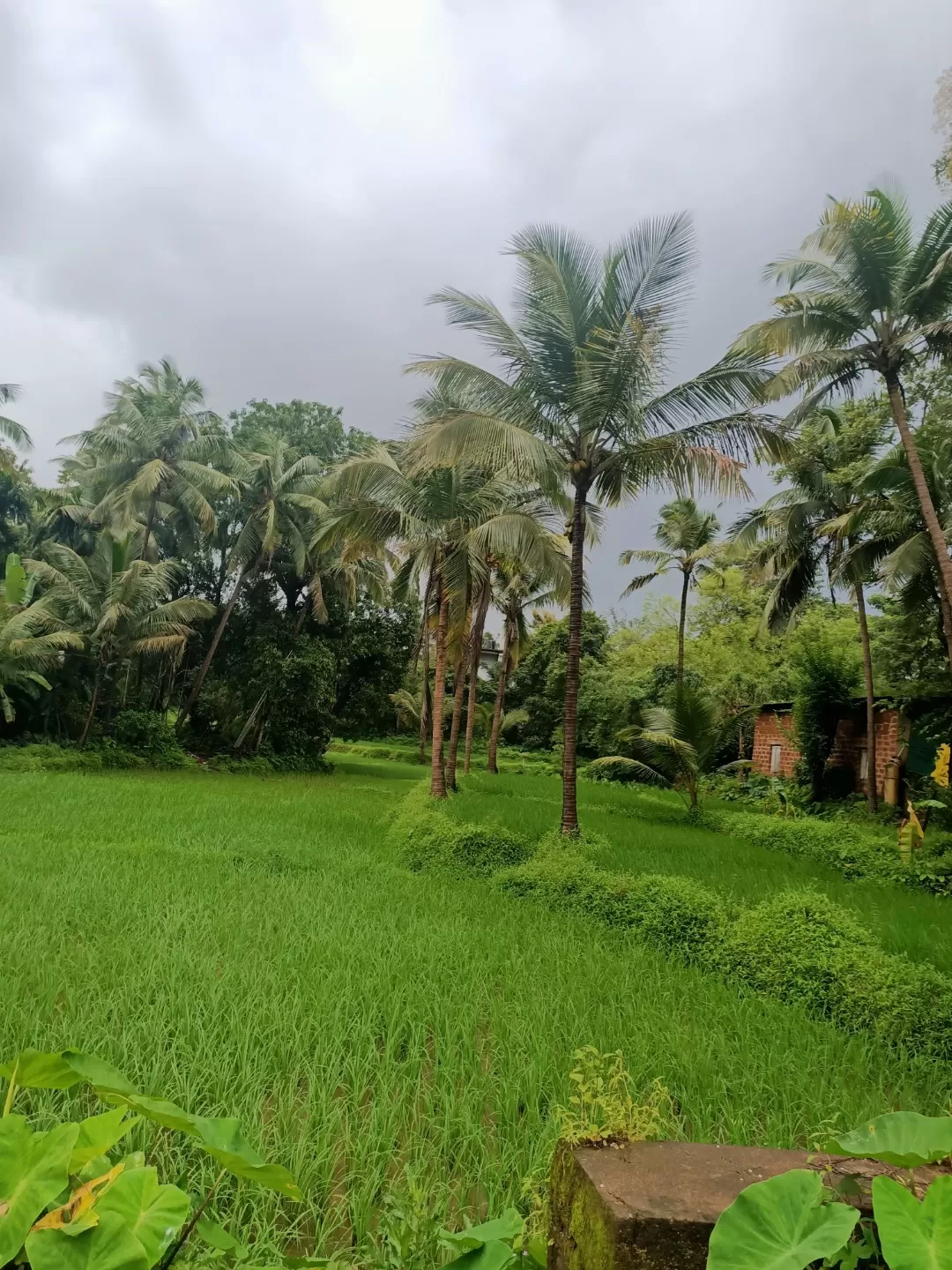 Photo of Sawantwadi By DeniseViolet Borges