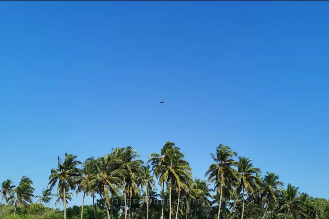 Photo of Kapu Beach Road By Jeethu Deekshith