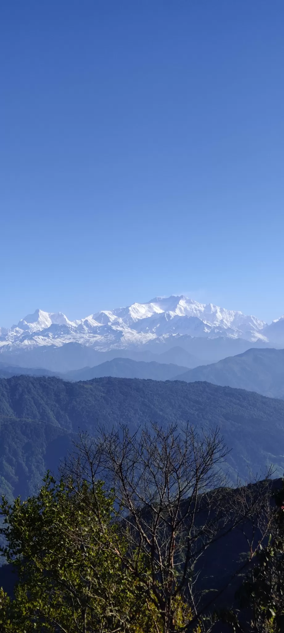 Photo of Tumling By Jhilik Dasgupta