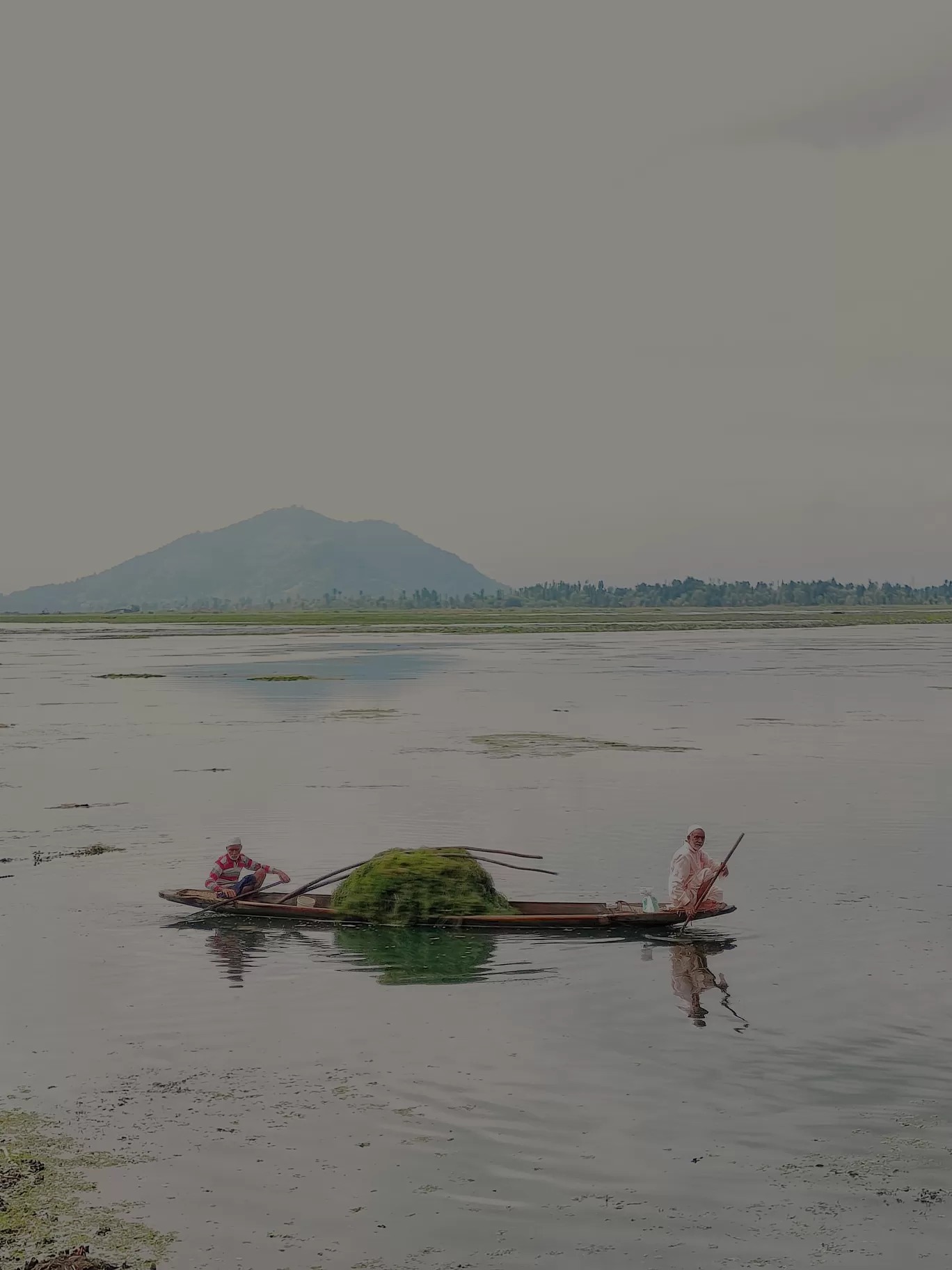 Photo of Dal Lake By RaQeeb Sofi