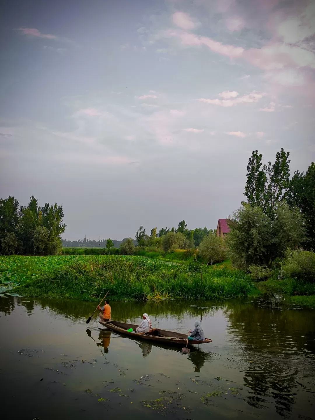 Photo of Dal Lake By RaQeeb Sofi