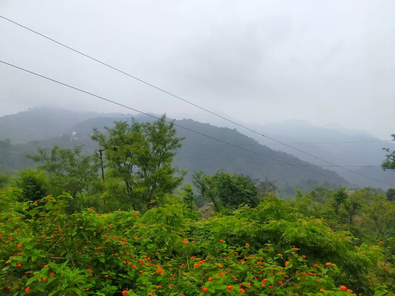 Photo of Morni Hills By Harman Sidhu