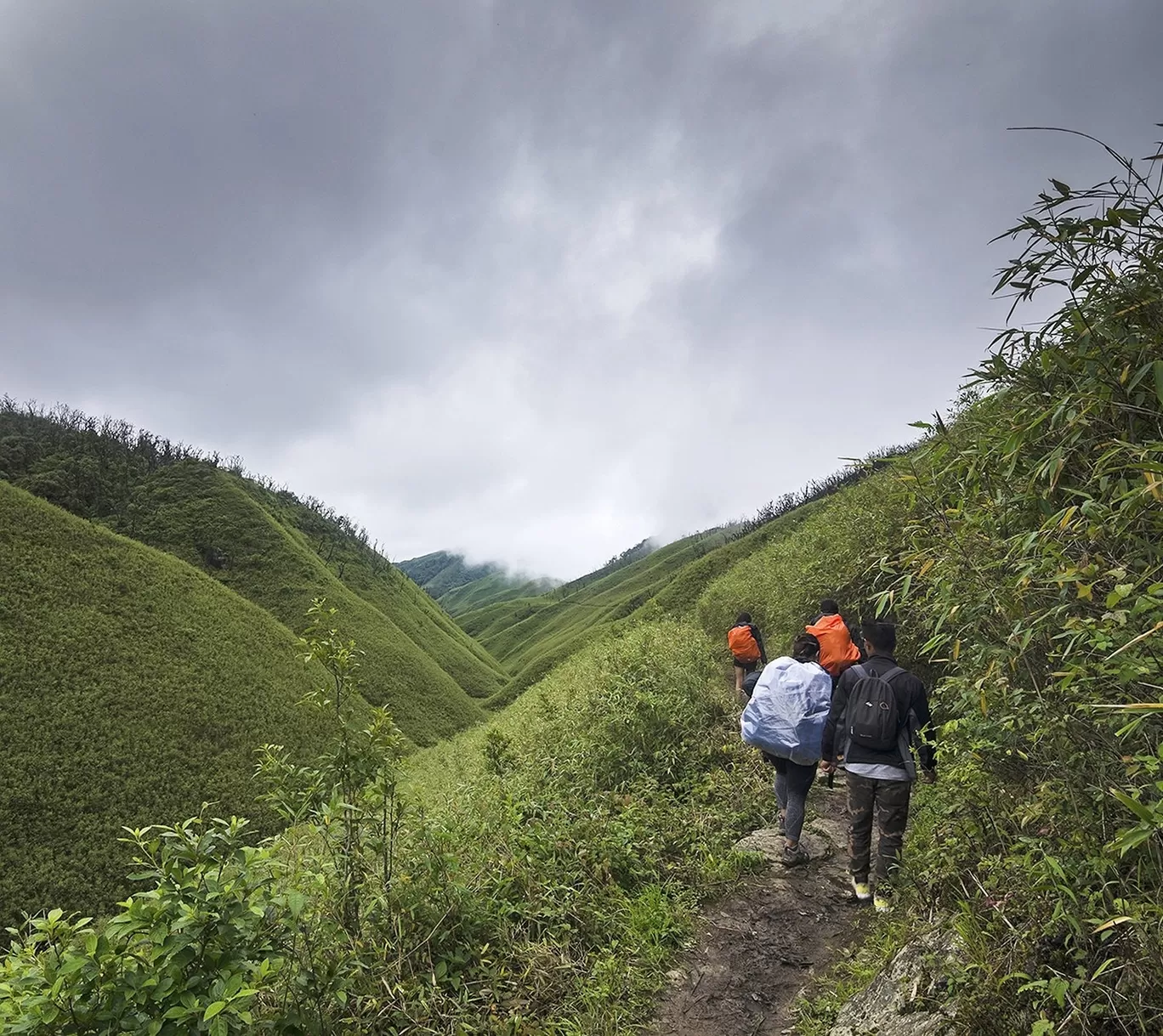 Photo of dzükou valley By Bikash Bharali