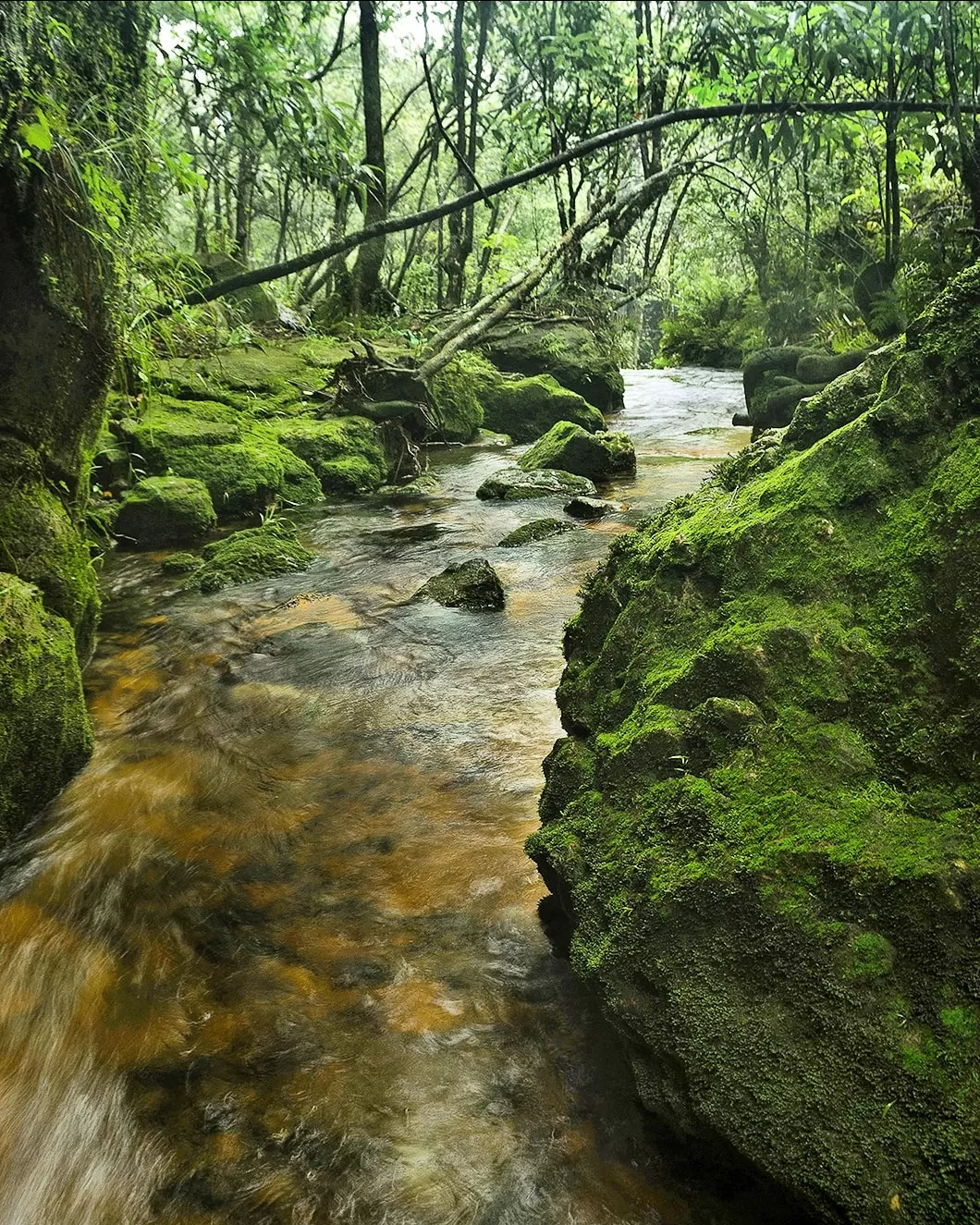 Photo of Laitmawsiang By Bikash Bharali