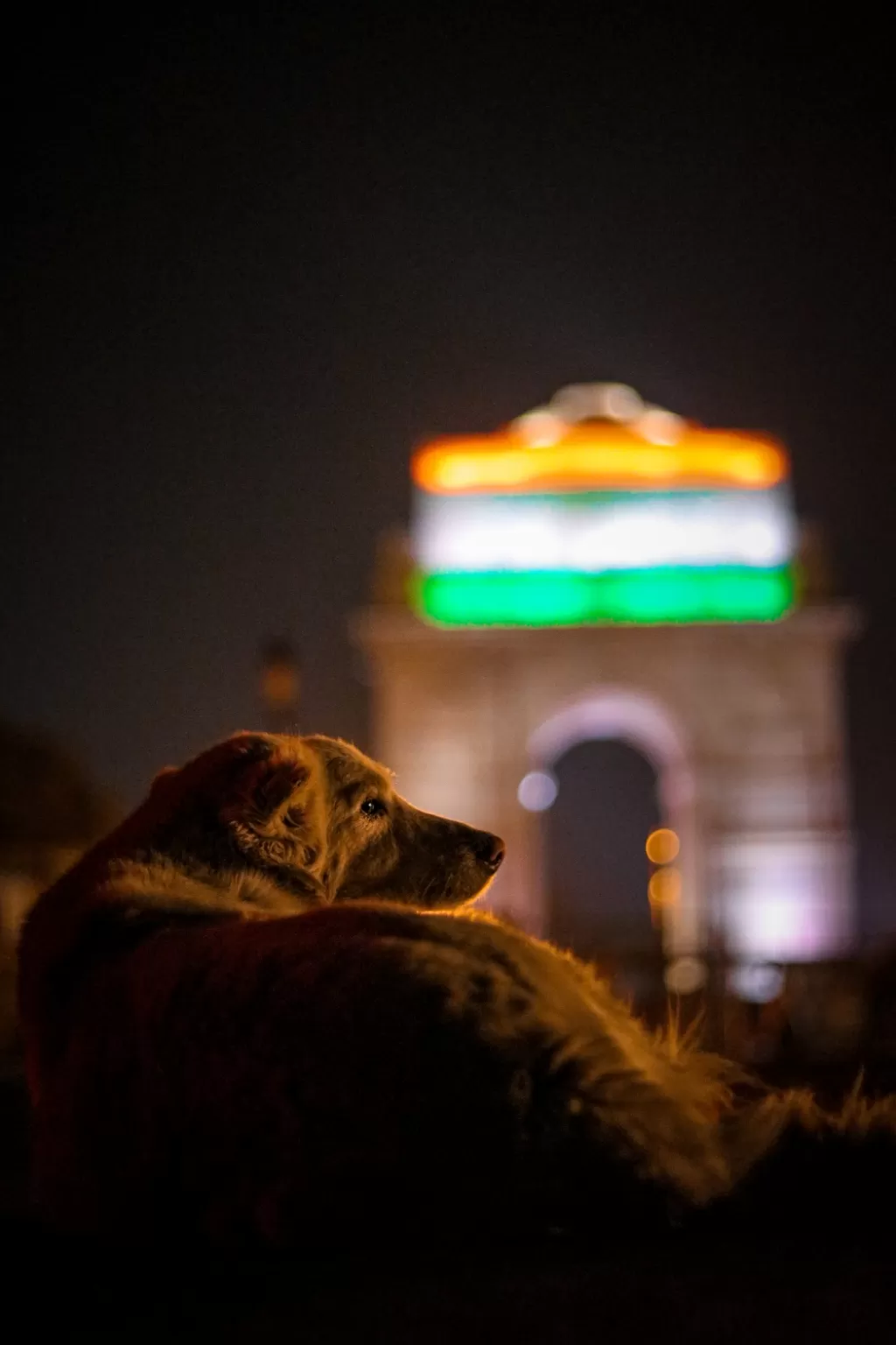 Photo of India By Avinash Stallone