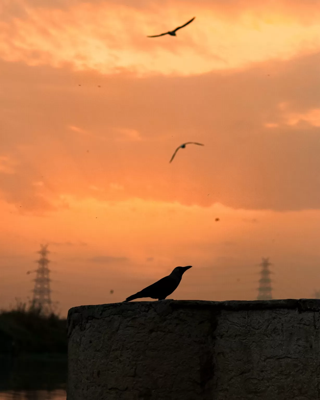 Photo of Yamuna River By Avinash Stallone