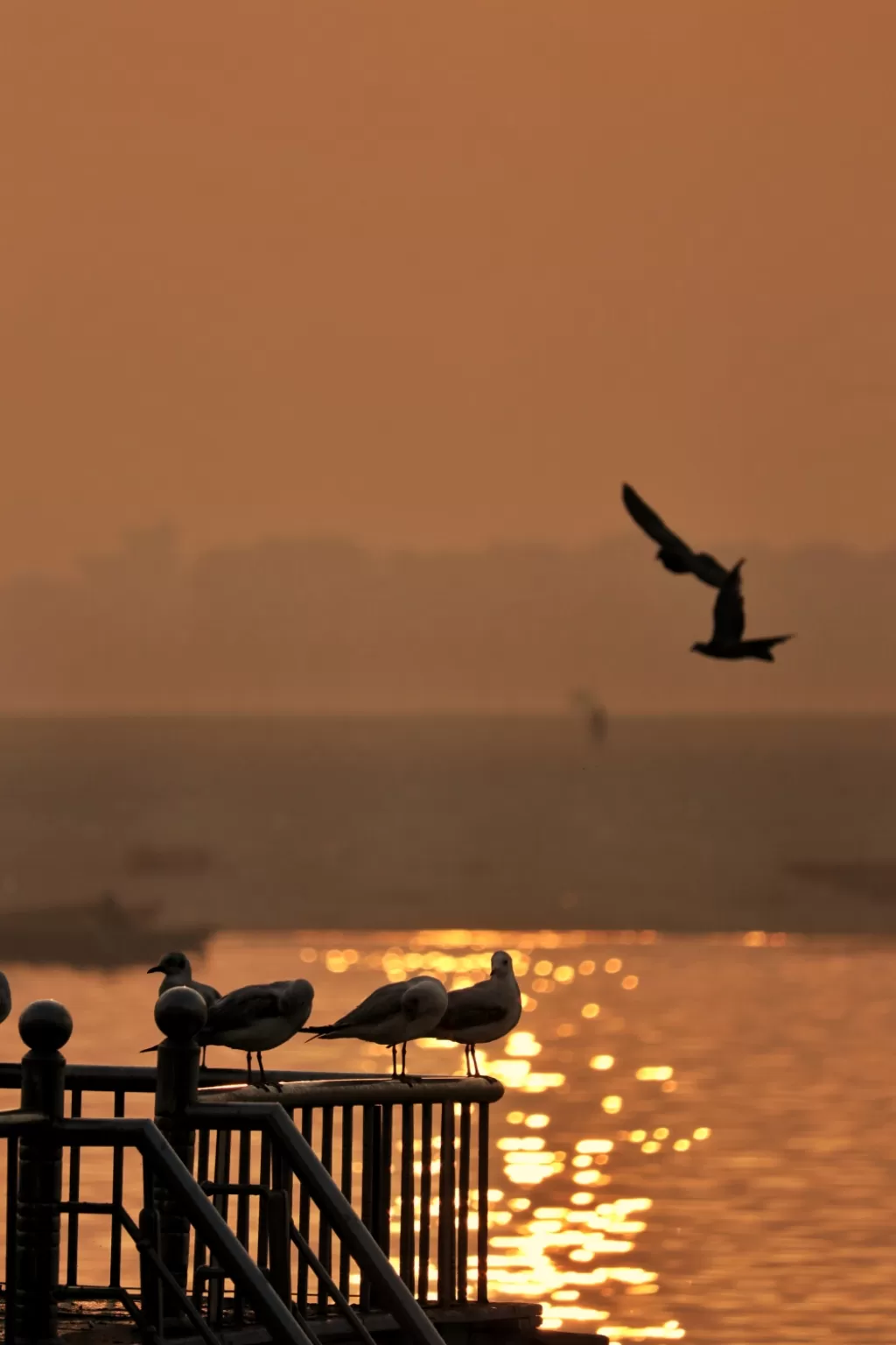 Photo of Yamuna River By Avinash Stallone