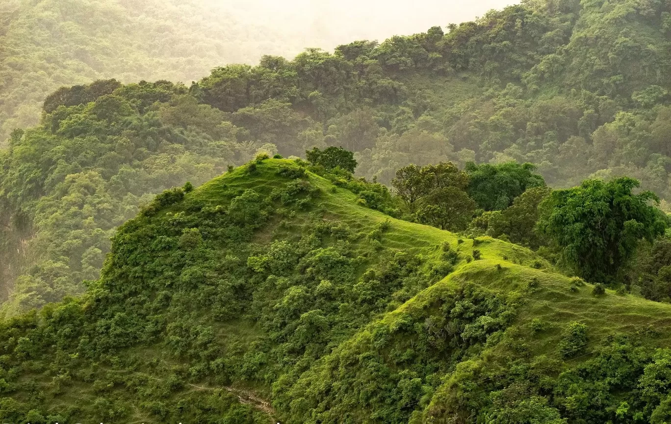Photo of India By indiatours