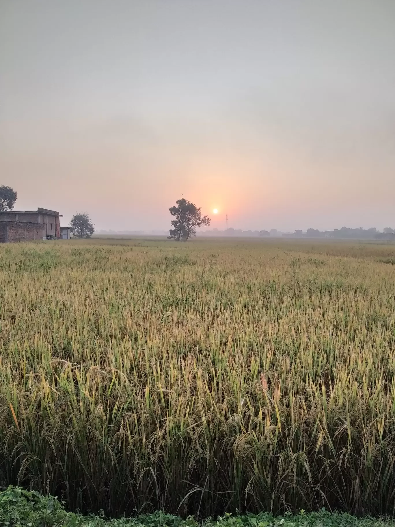 Photo of Mughalsarai By vishal yadav