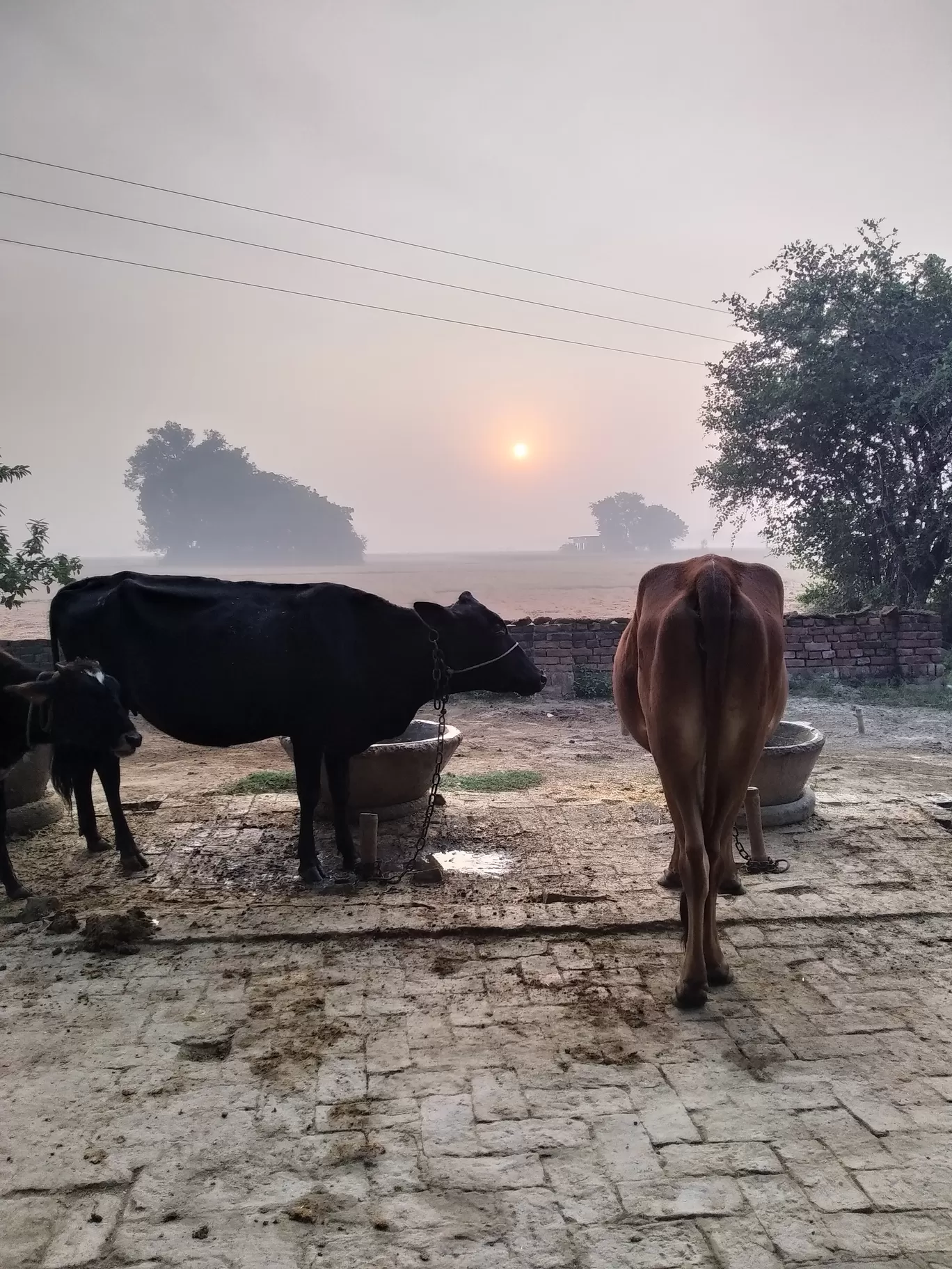 Photo of Mughalsarai By vishal yadav