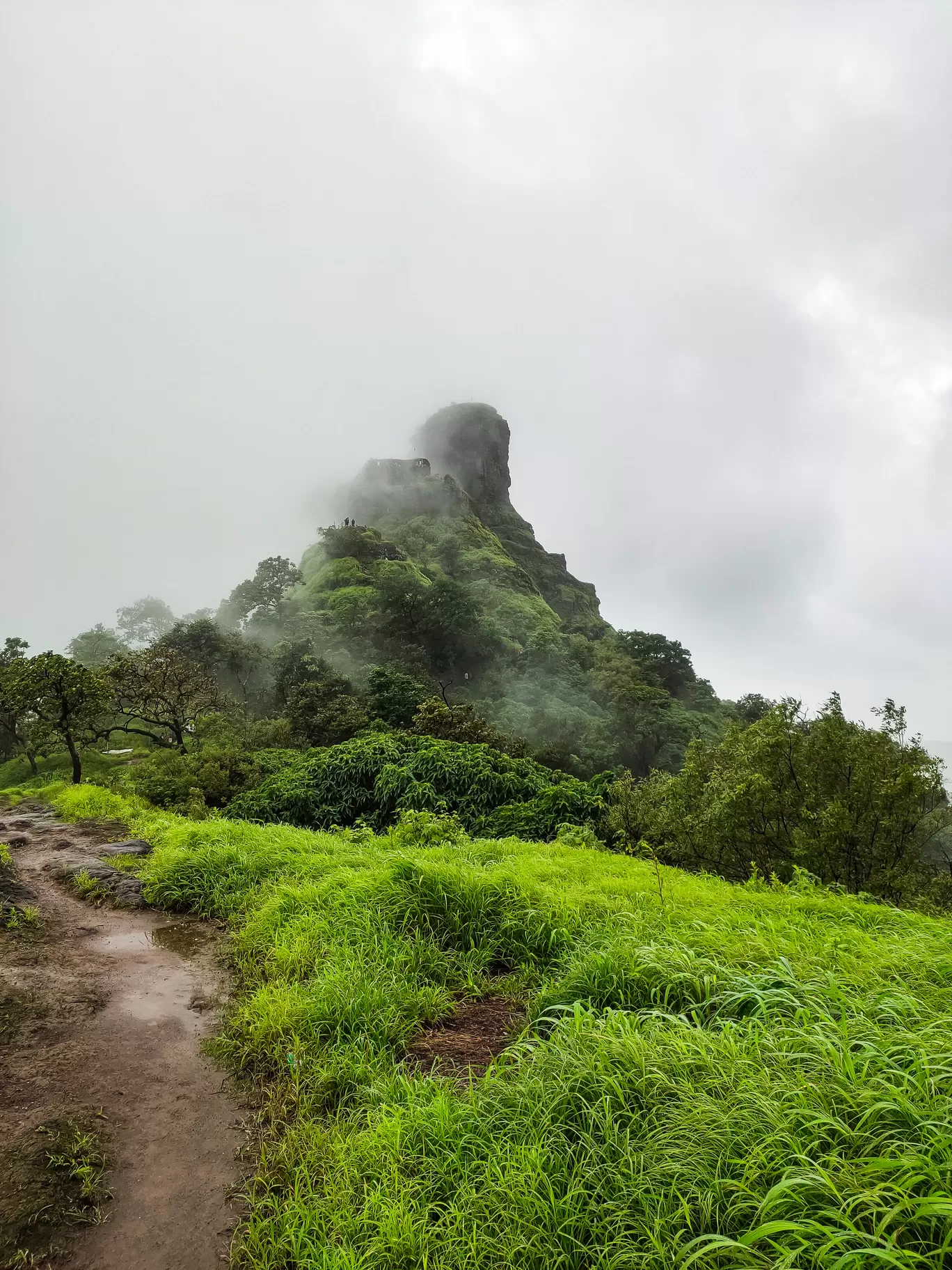 Photo of Karnala Fort By vishal yadav