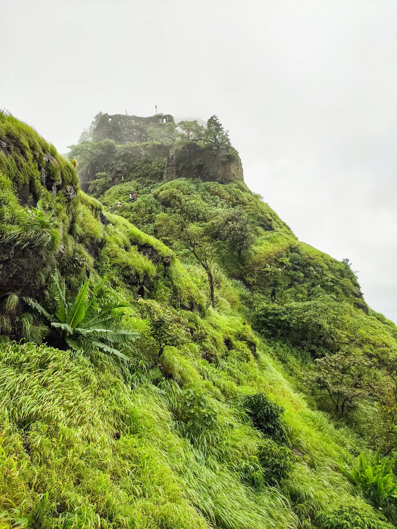 Photo of Karnala Fort By vishal yadav