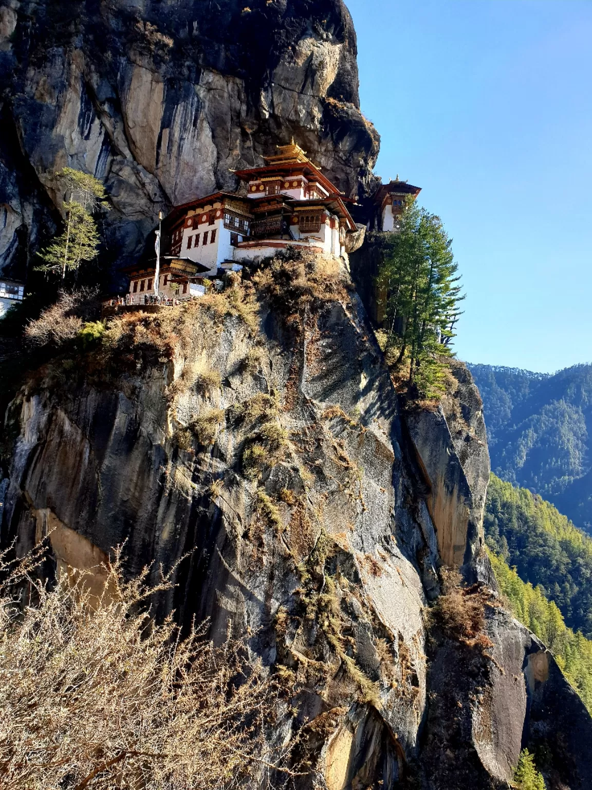 Photo of Tiger’s Nest By Plabana Mahanta 