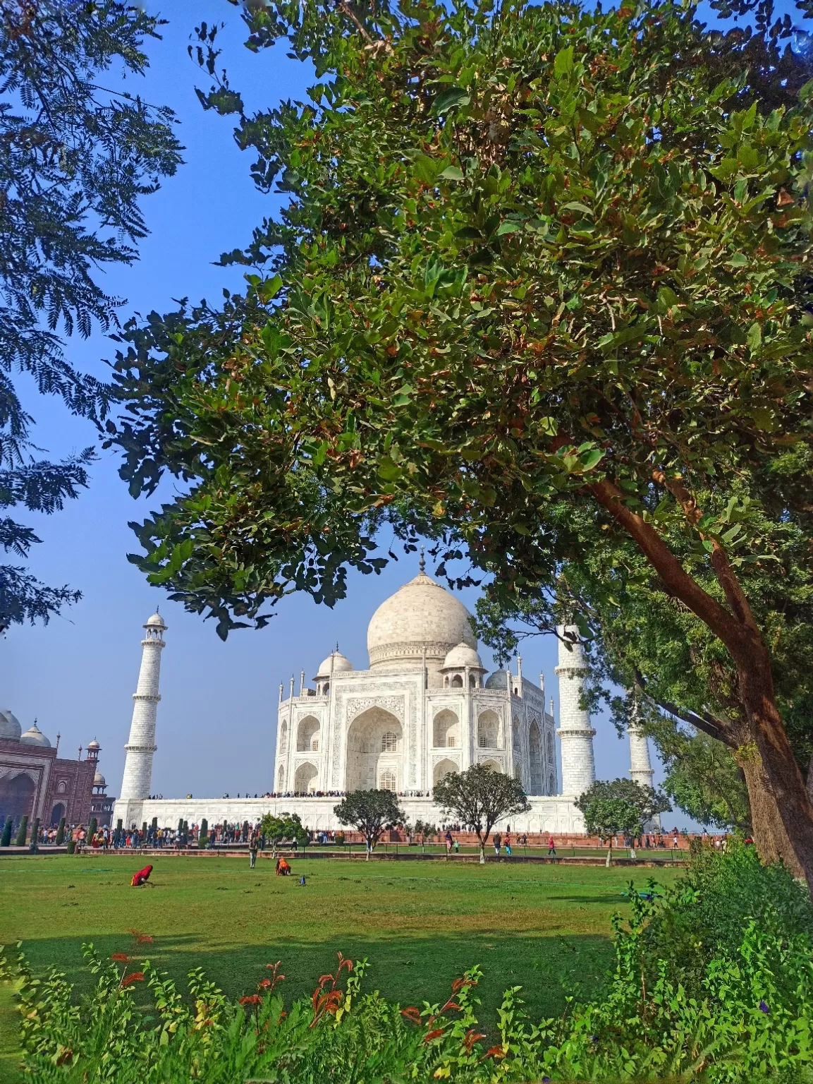 Photo of Taj Mahal By Prerna Sharma