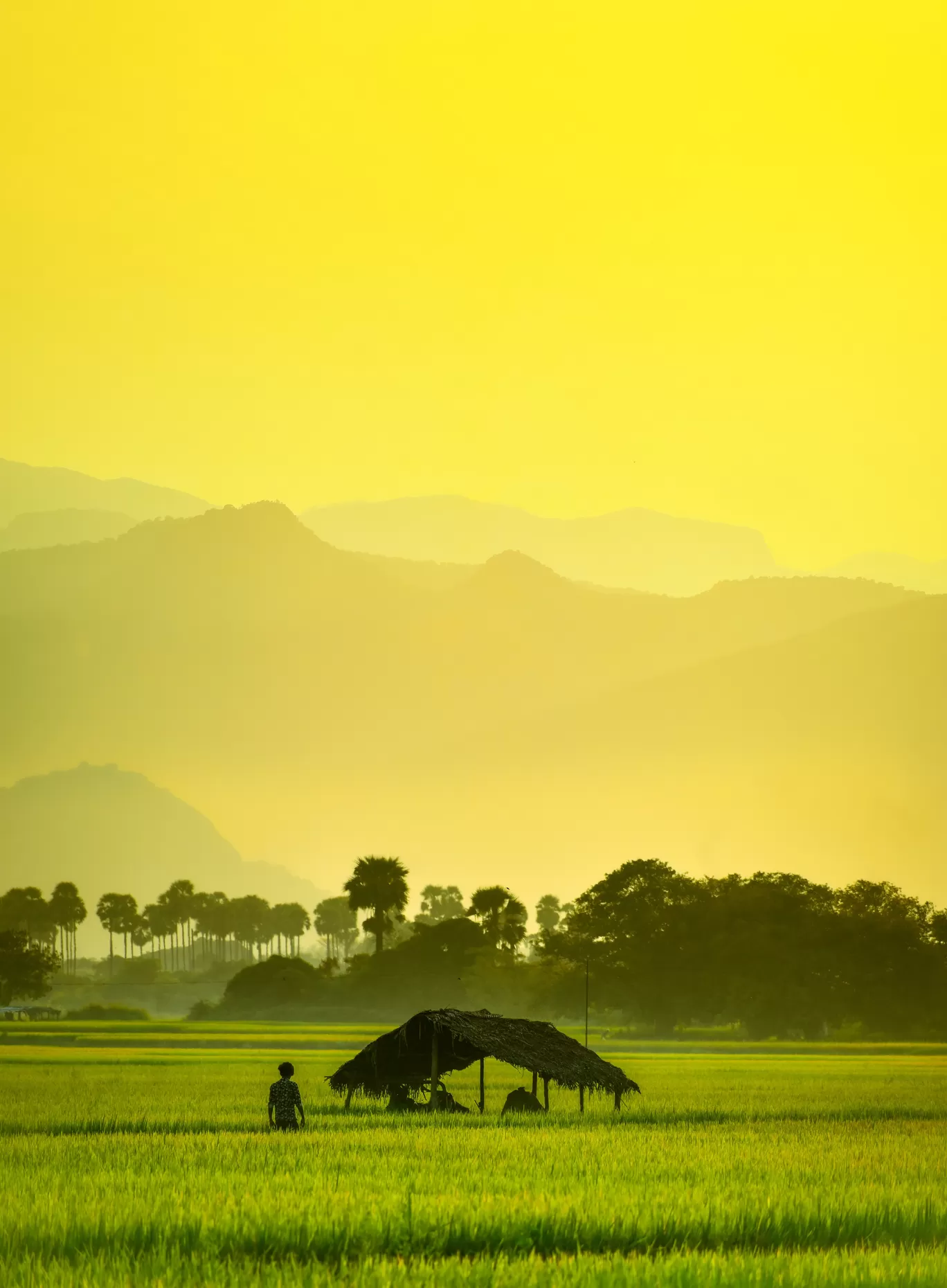 Photo of Kallidaikurchi By Vasanth Prabhu