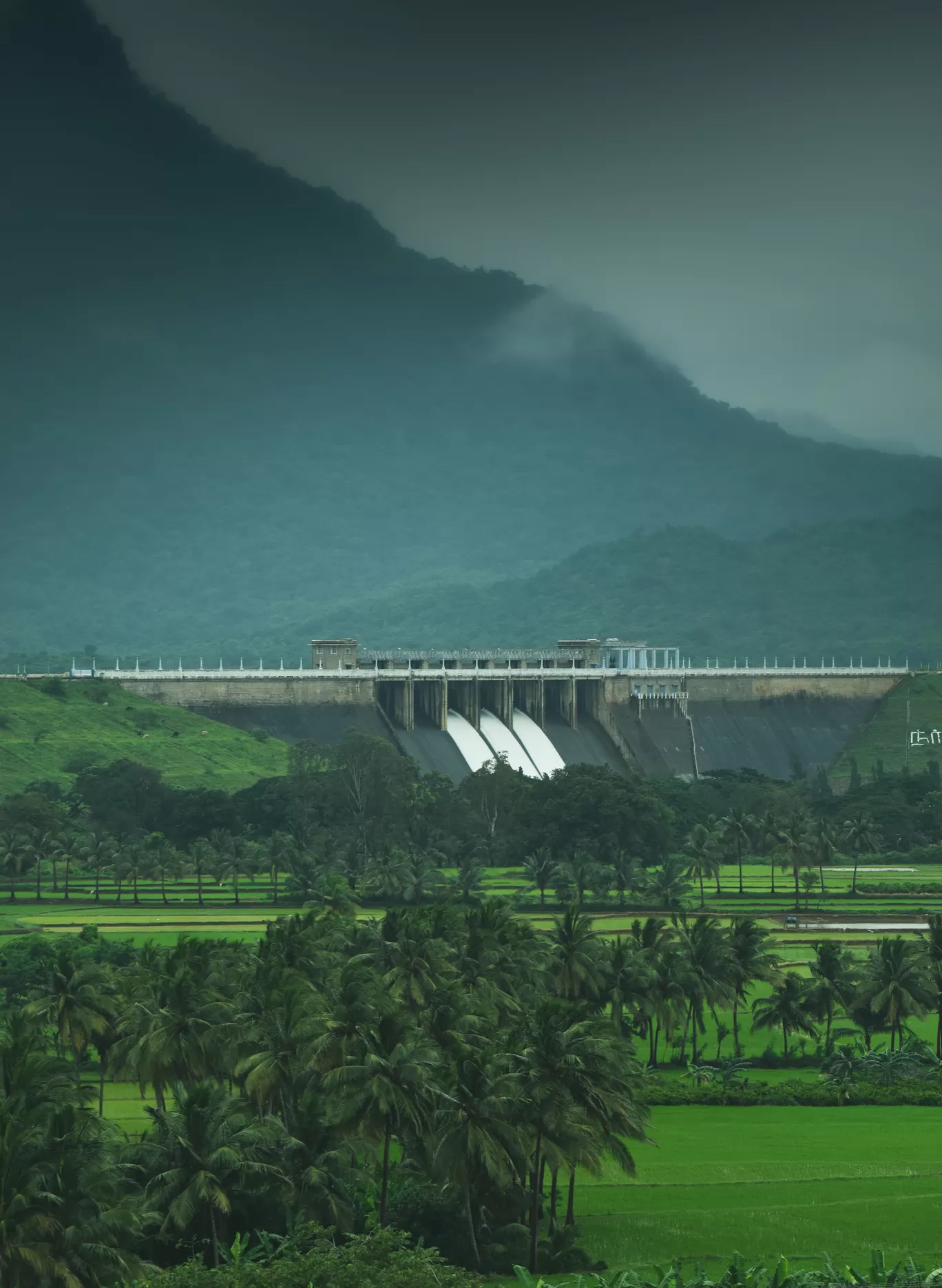 Photo of Manimutharu Dam By Vasanth Prabhu