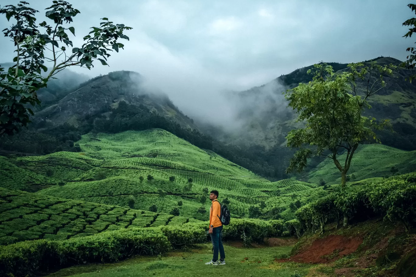 Photo of Munnar By Vasanth Prabhu