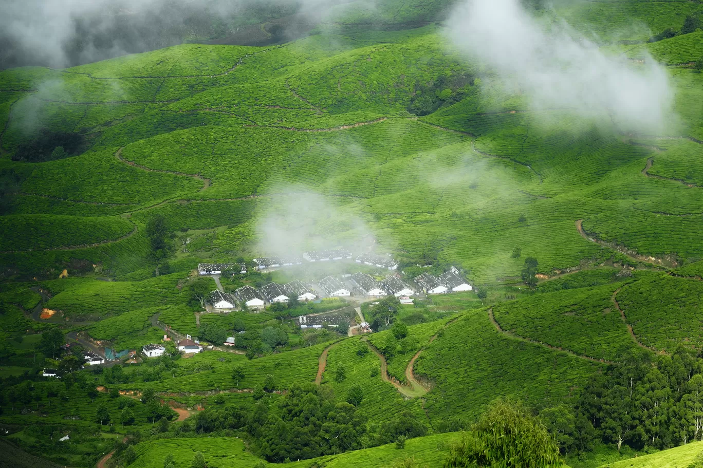 Photo of Munnar Hillstation By Vasanth Prabhu