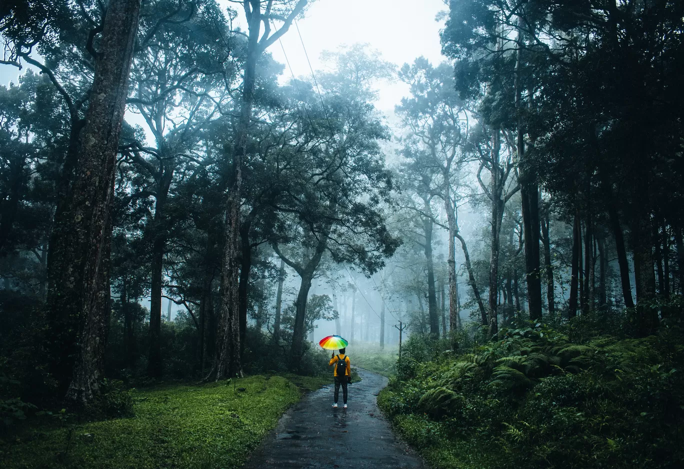 Photo of Kalakad Mundanthurai Tiger Reserve By Vasanth Prabhu