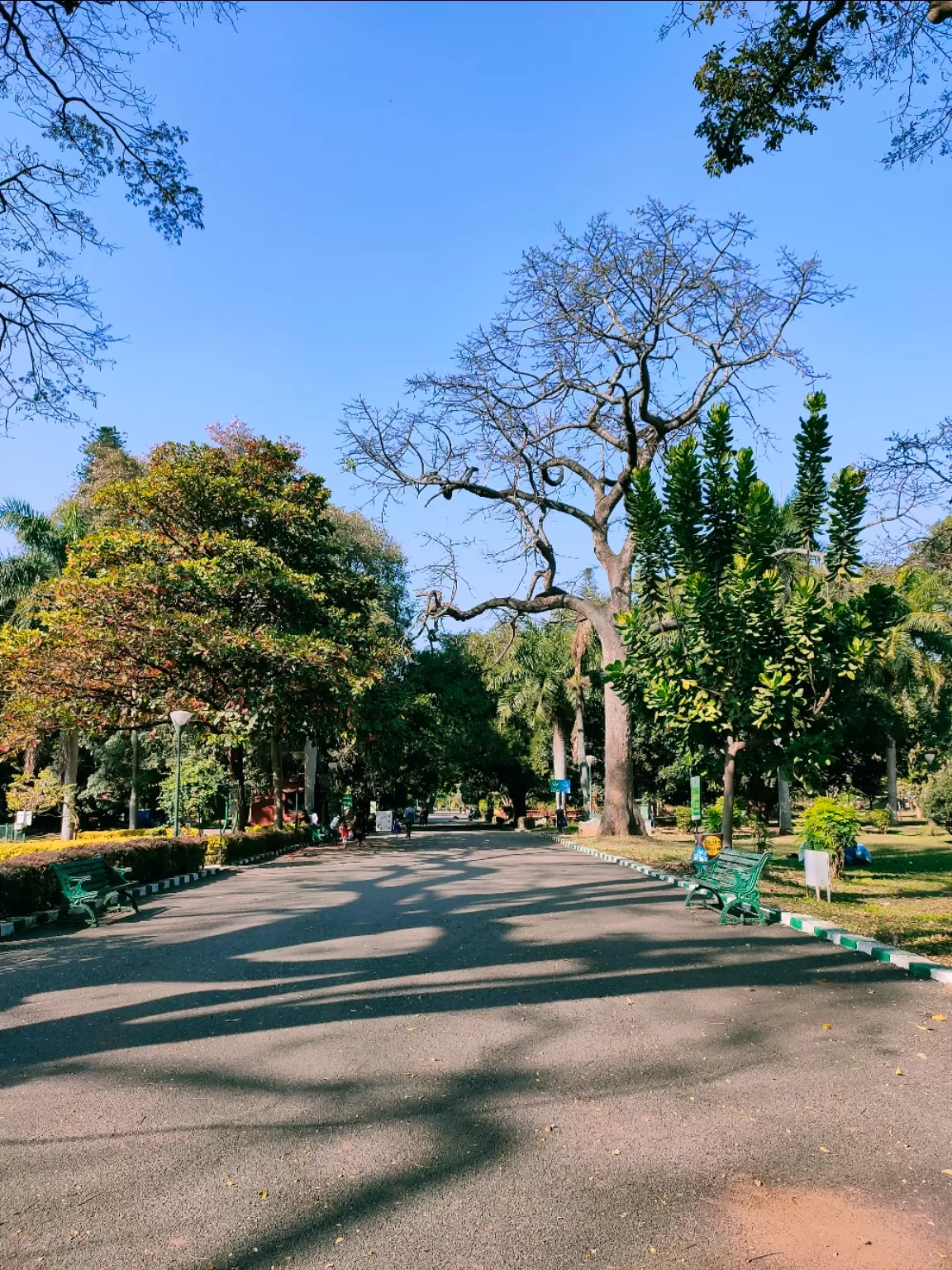 Photo of Bangalore By Chaitanya Sai Kumar Bhogadula