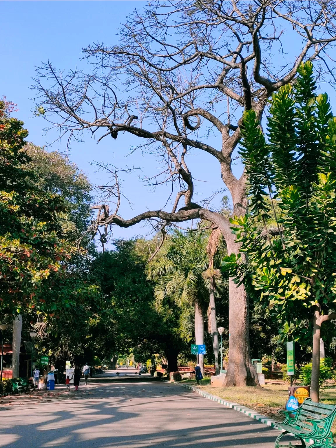 Photo of Bangalore By Chaitanya Sai Kumar Bhogadula