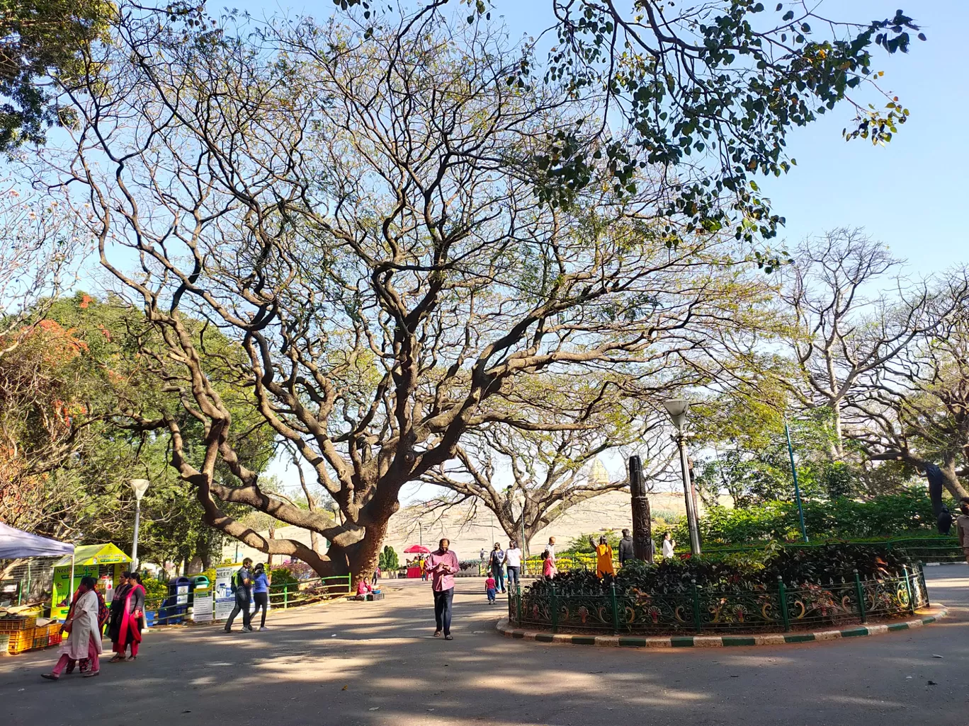 Photo of Bangalore By Chaitanya Sai Kumar Bhogadula