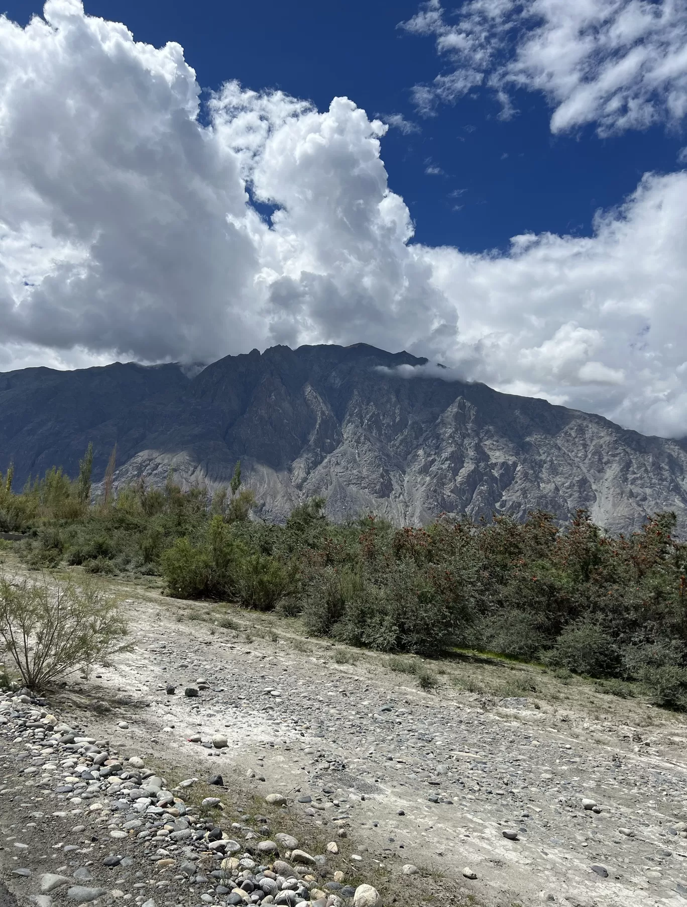 Photo of Leh Ladakh - लेह लदाख By Mohit Upadhyay
