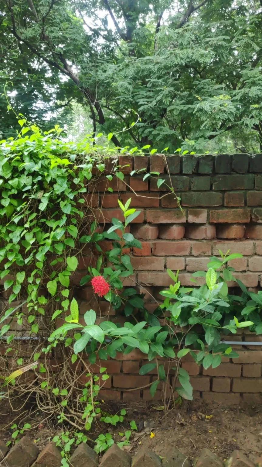 Photo of Ahmedabad By vaibhavi