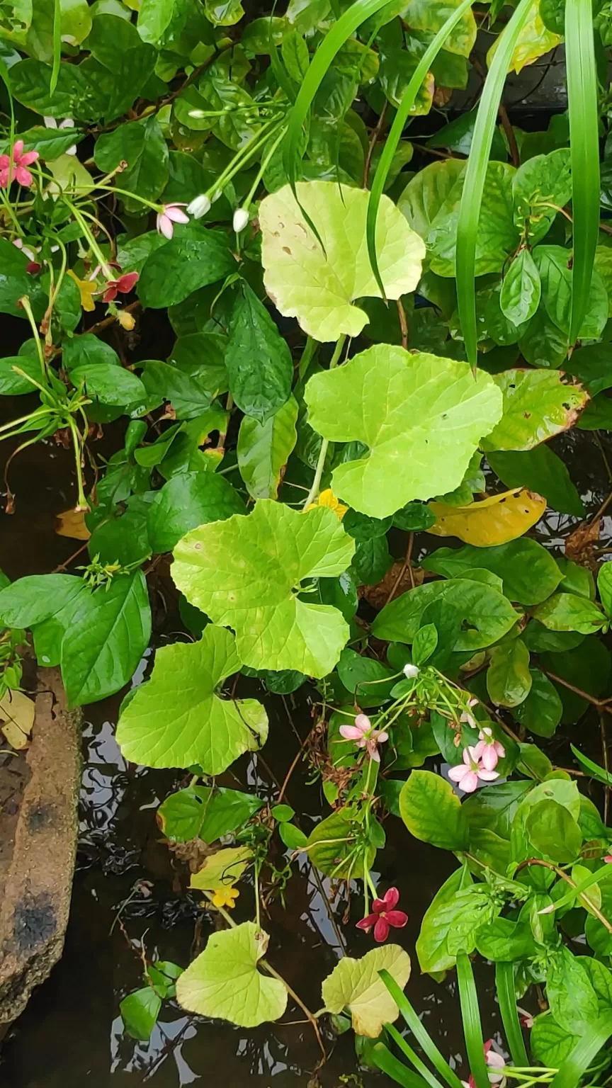 Photo of Ahmedabad By vaibhavi