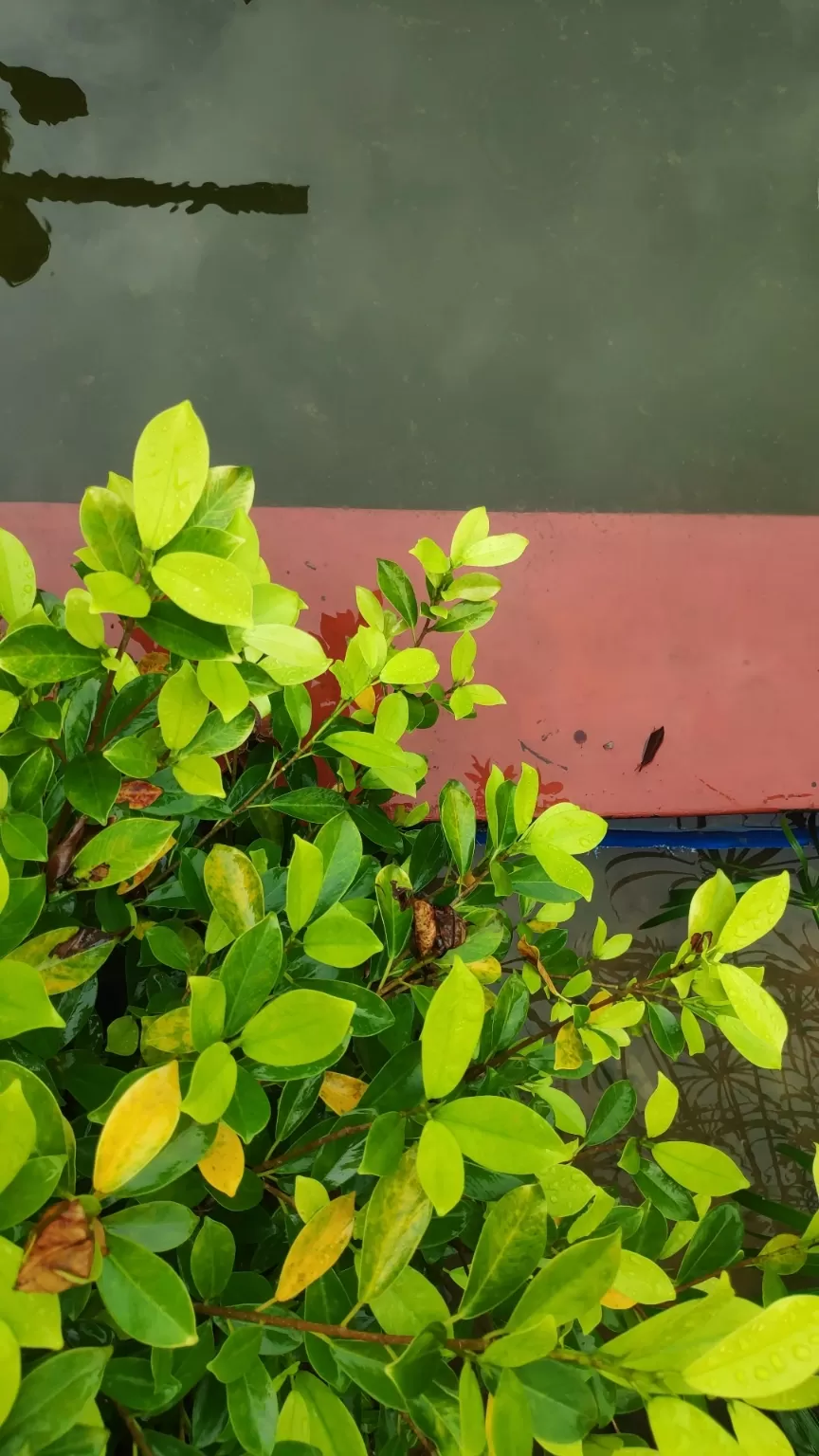 Photo of Ahmedabad By vaibhavi