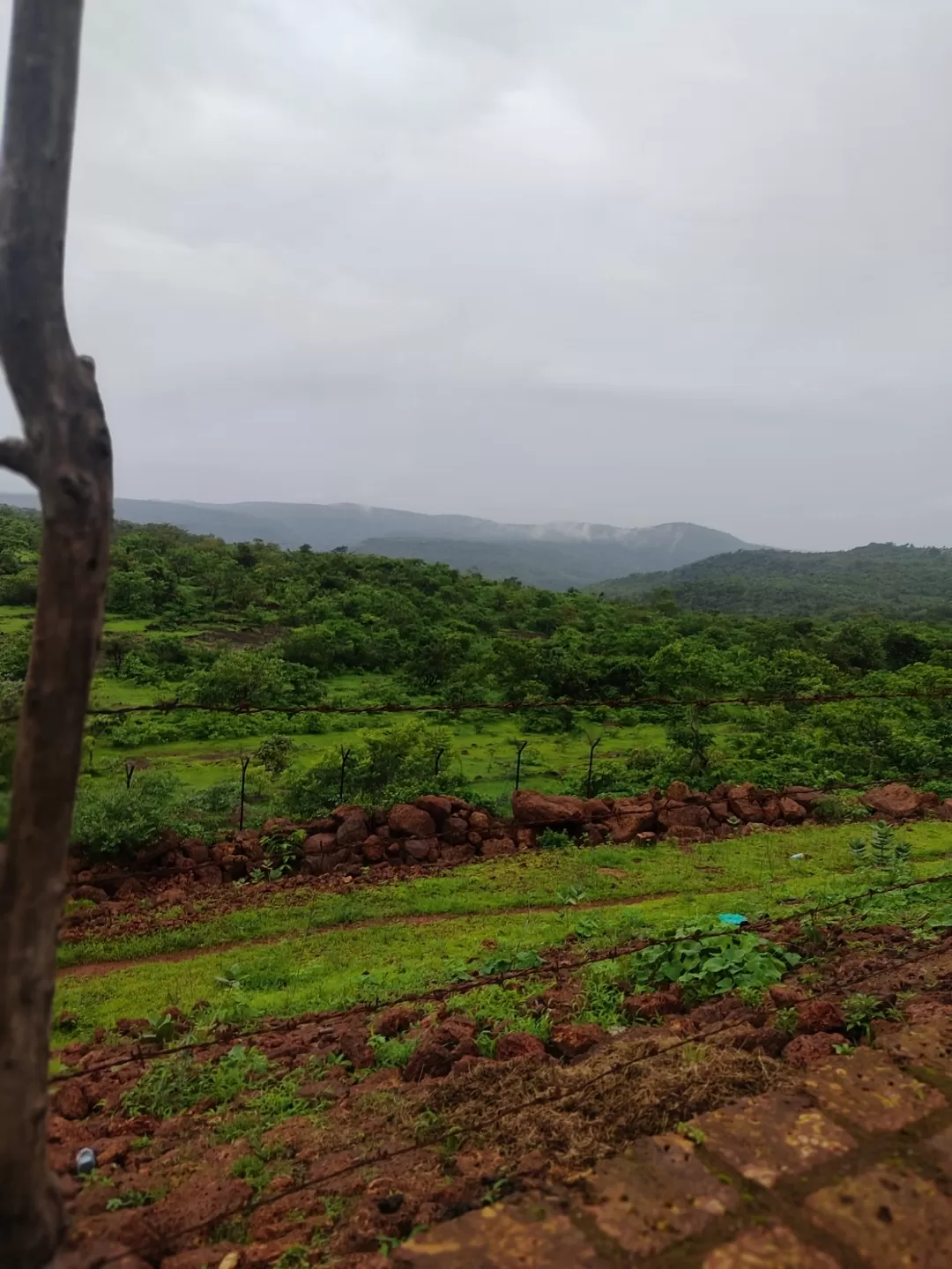 Photo of Mahabaleshwar By sniper zone