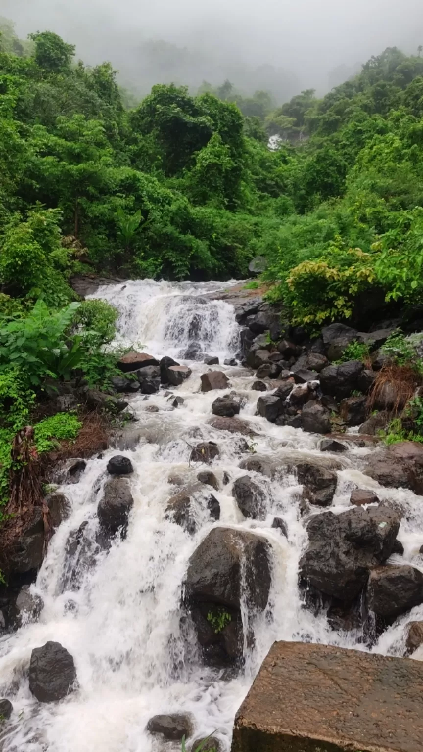 Photo of Mahabaleshwar By sniper zone