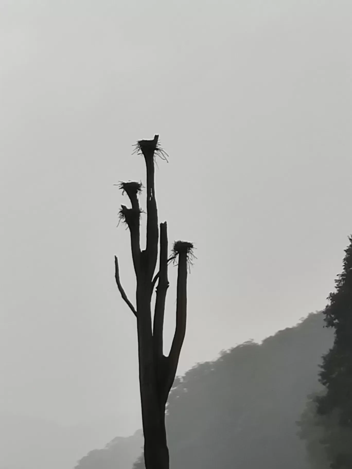 Photo of Thekkady By Prakash Jude