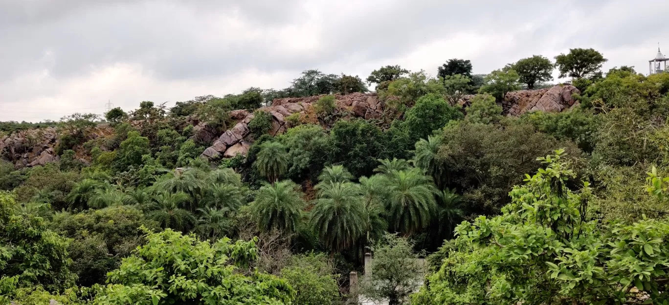 Photo of ARAVALI HILLS By Mountain Heist