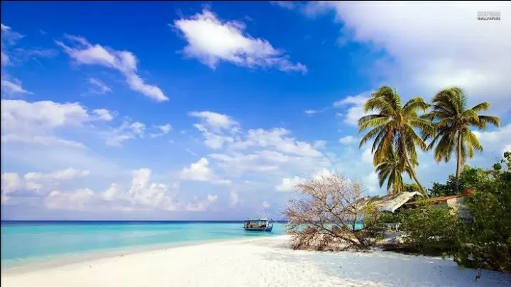 Photo of Andaman and Nicobar Islands By 𝔑𝔦𝔱𝔦𝔫 𝔎𝔲𝔪𝔞𝔯 𝔓𝔯𝔞𝔧𝔞𝔭𝔞𝔱𝔦