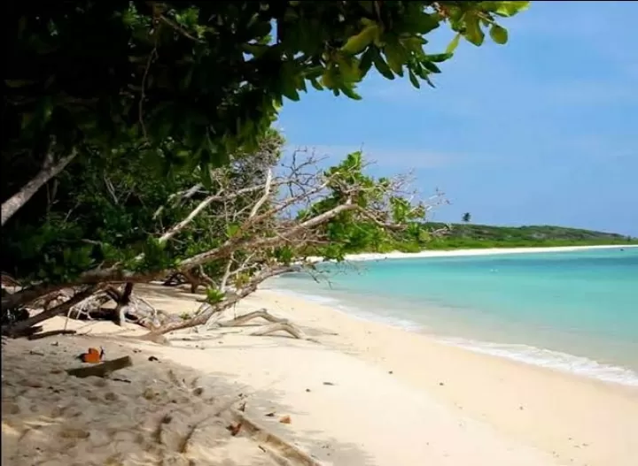 Photo of Andaman and Nicobar Islands By 𝔑𝔦𝔱𝔦𝔫 𝔎𝔲𝔪𝔞𝔯 𝔓𝔯𝔞𝔧𝔞𝔭𝔞𝔱𝔦