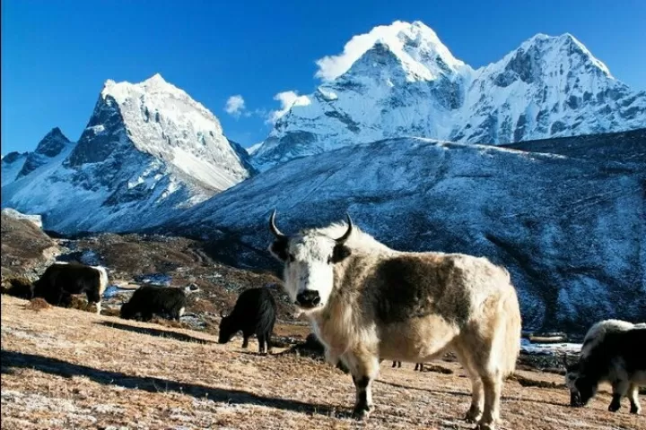 Photo of Sagarmatha National Park By 𝔑𝔦𝔱𝔦𝔫 𝔎𝔲𝔪𝔞𝔯 𝔓𝔯𝔞𝔧𝔞𝔭𝔞𝔱𝔦