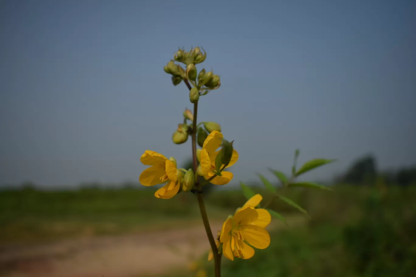 Photo of Bardhaman By Priyatosh Roy