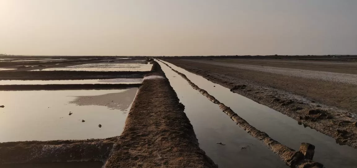 Photo of East Coast Road By KIRAN