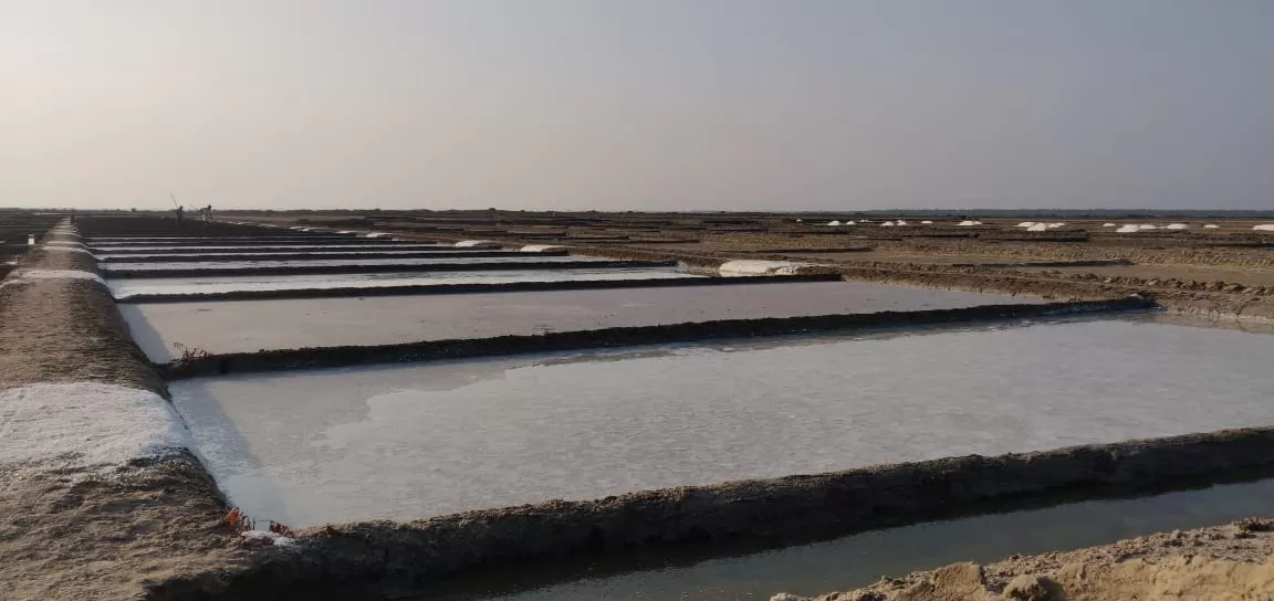 Photo of East Coast Road By KIRAN