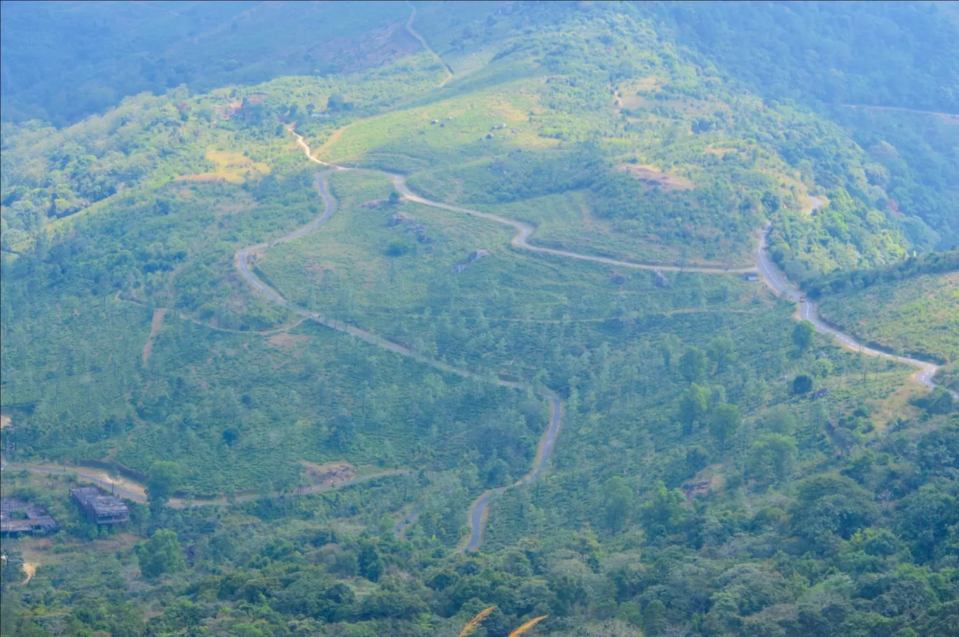 Photo of Ponmudi Hill Station By Rohit Narayan R