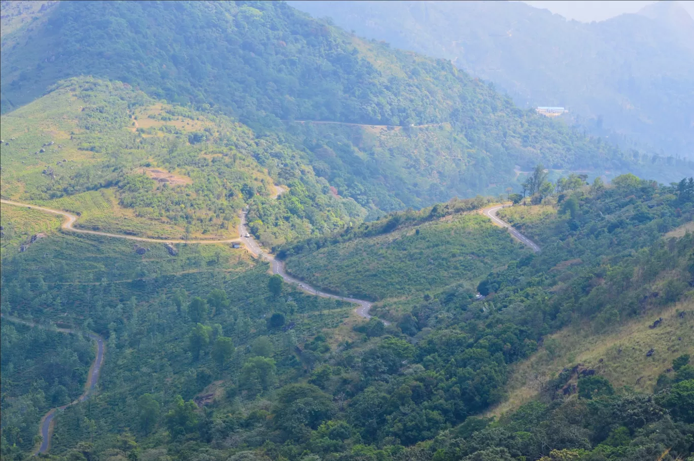 Photo of Ponmudi Hill Station By Rohit Narayan R