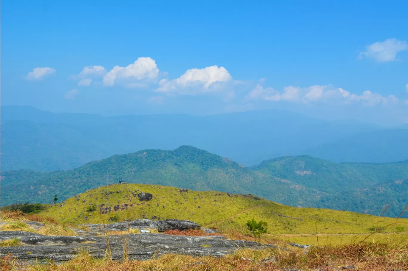 Photo of Ponmudi Hill Station By Rohit Narayan R