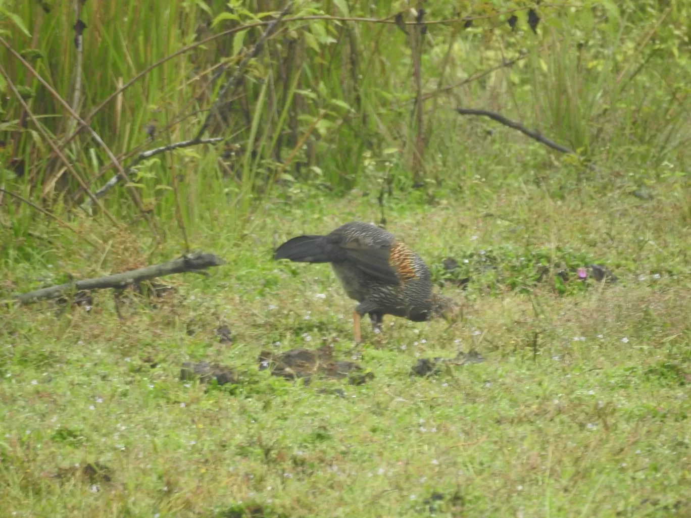 Photo of Wayanad By Rohit Narayan R