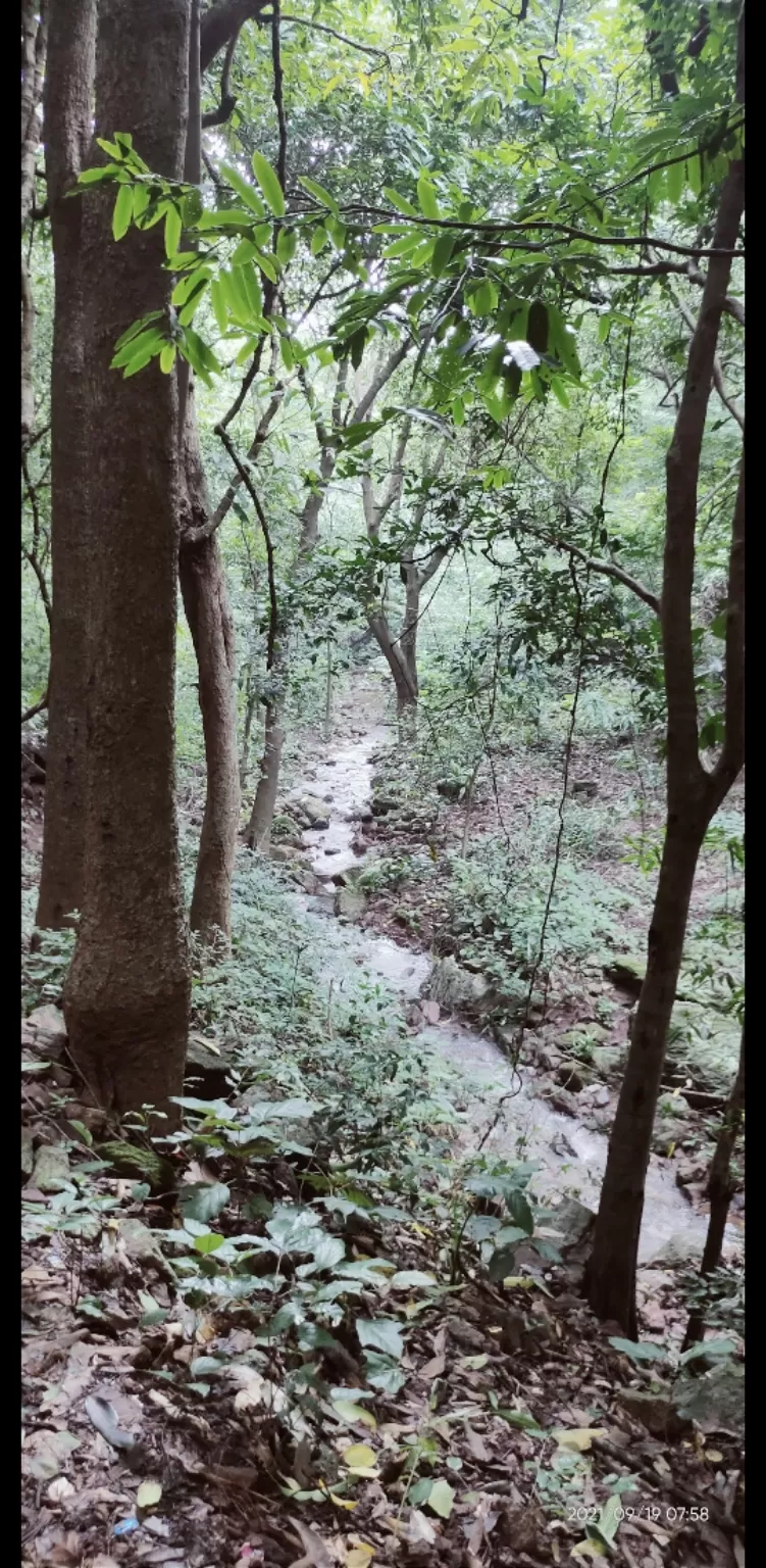 Photo of Saptasajya By Ashutosa Das