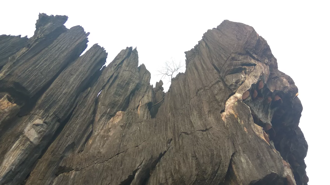 Photo of Yana Caves By Stranger Lad