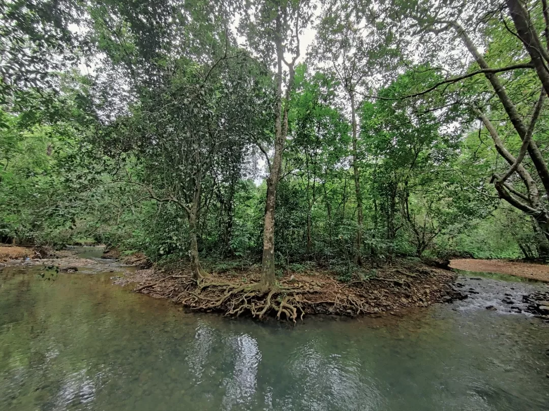 Photo of Khotigao By Ankita Singh