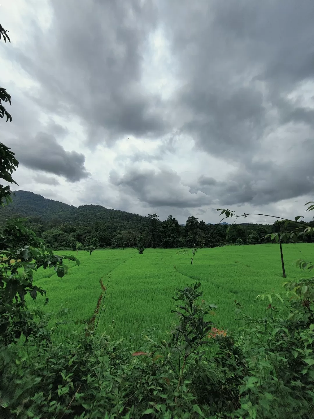 Photo of Khotigao By Ankita Singh