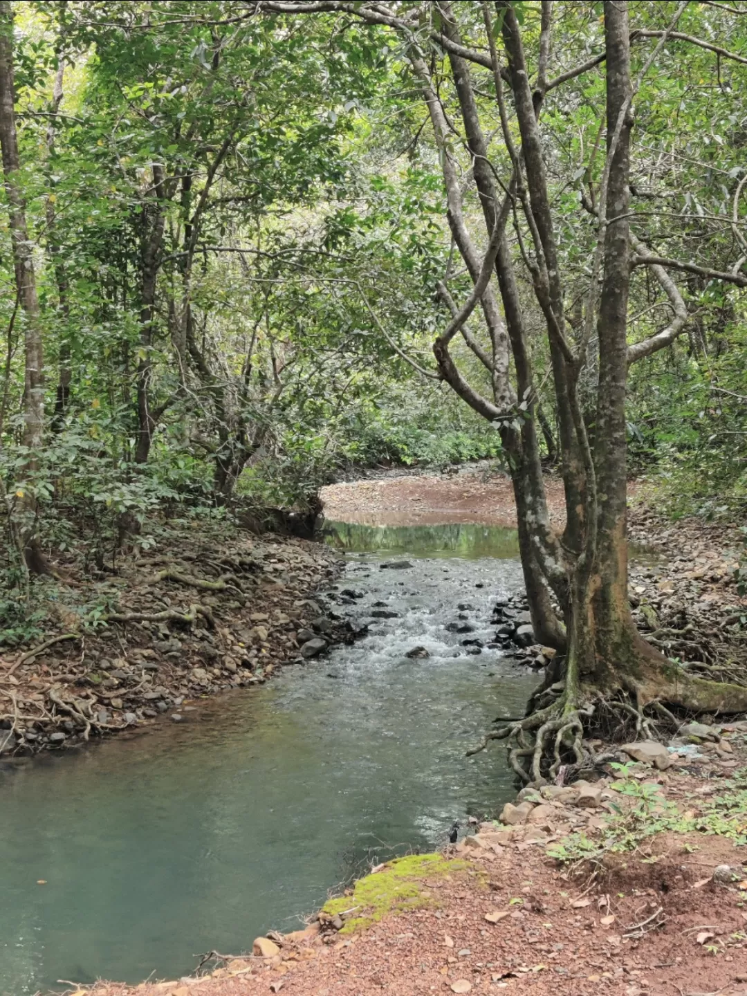 Photo of Khotigao By Ankita Singh