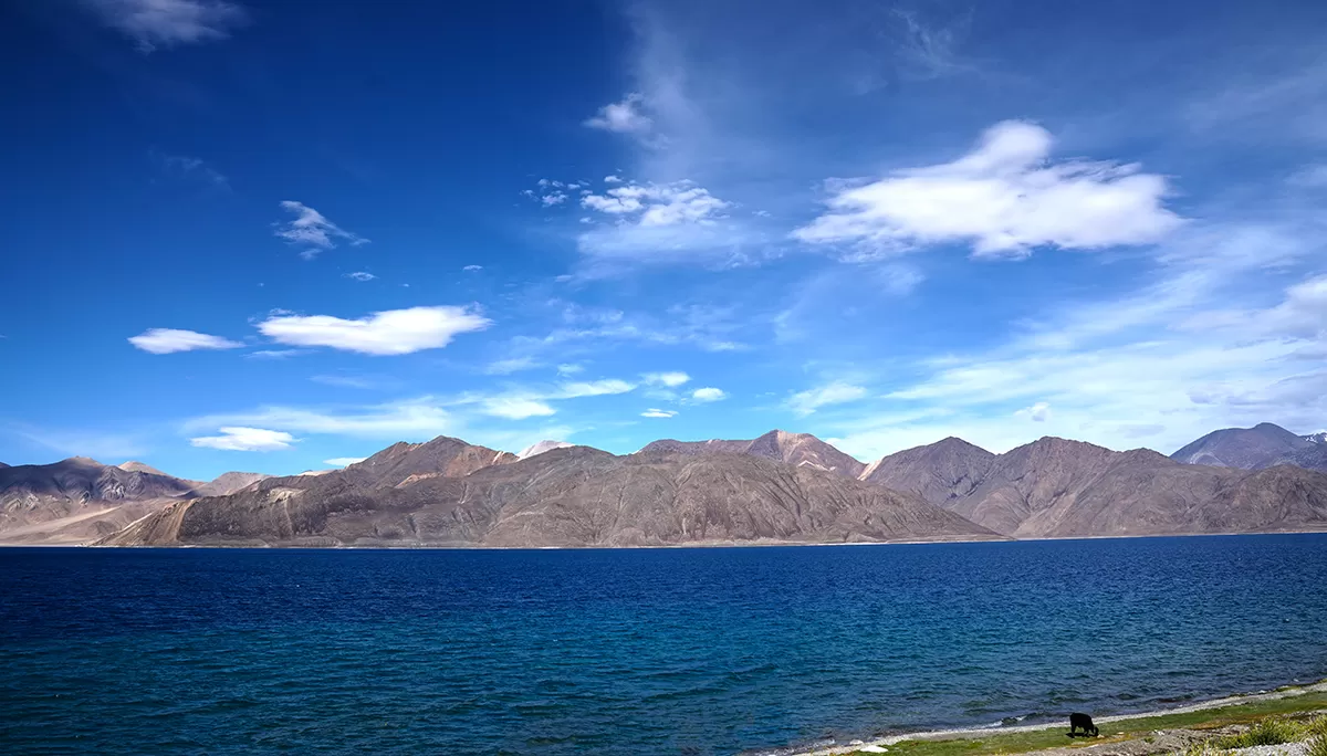 Photo of Pangong Tso By Chetan Kumar Arora